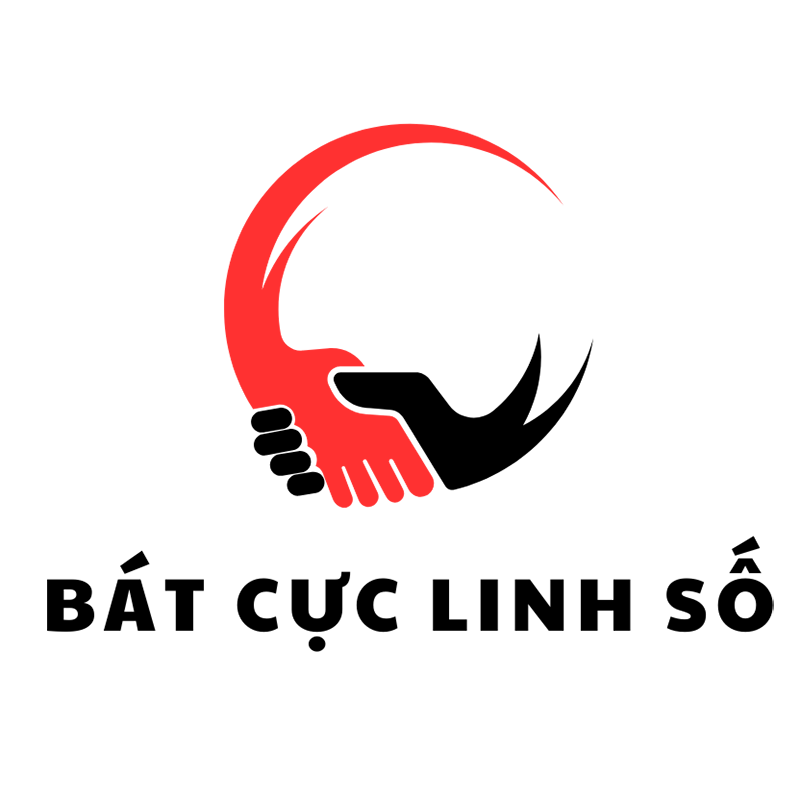 Bát Cực Linh Số